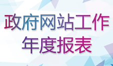 政府网站工作年报