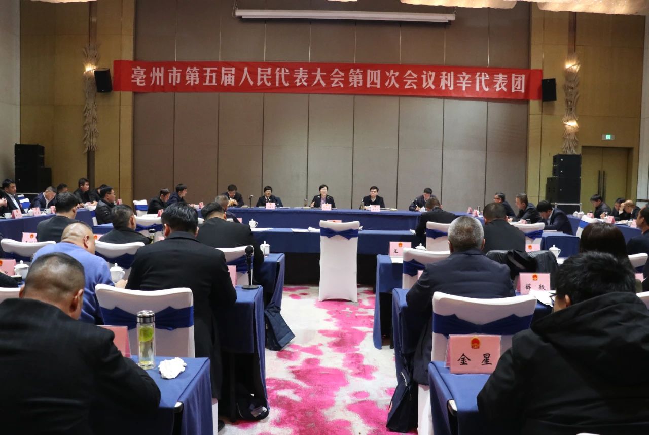 秦凤玉参加市五届人大四次会议利辛代表团审议